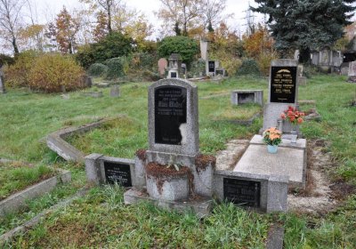 Novosedlice, Omnium, 2020