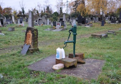 Novosedlice, Omnium, 2020