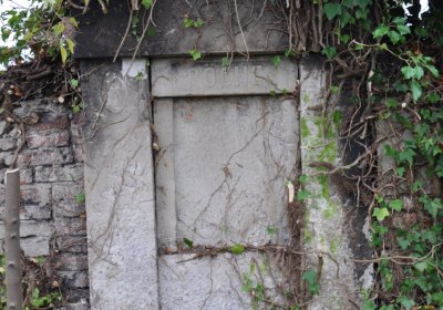 Novosedlice, Omnium, 2020