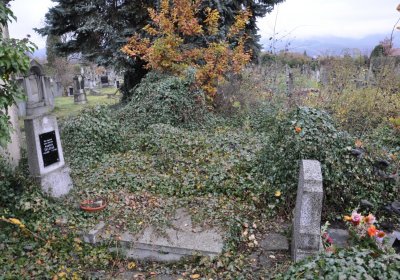 Novosedlice, Omnium, 2020