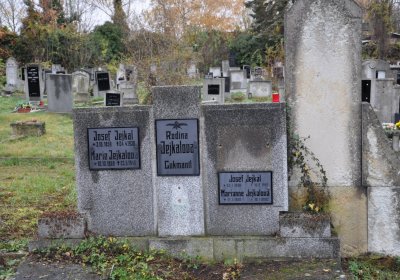 Novosedlice, Omnium, 2020