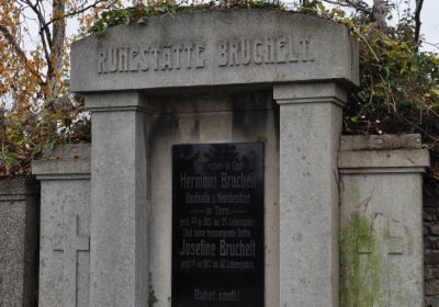 Novosedlice, Omnium, 2020