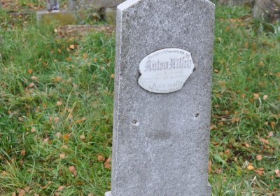 Novosedlice, Omnium, 2020