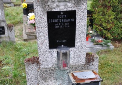 Novosedlice, Omnium, 2020