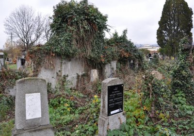 Novosedlice, Omnium, 2020