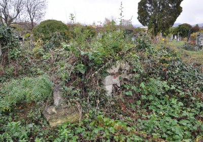 Novosedlice, Omnium, 2020