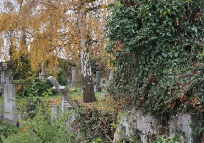 Novosedlice, Omnium, 2020