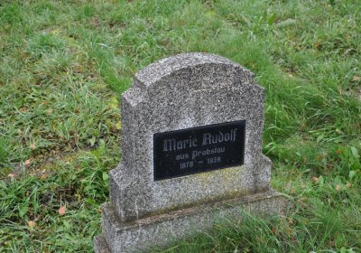 Novosedlice, Omnium, 2020