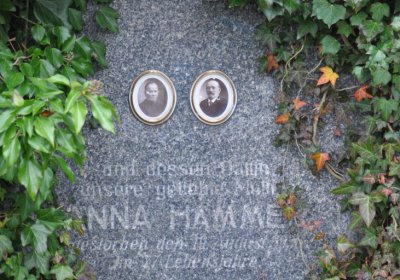 Novosedlice, Omnium, 2020