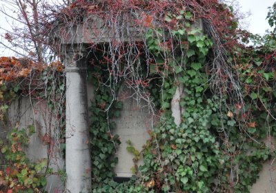 Novosedlice, Omnium, 2020