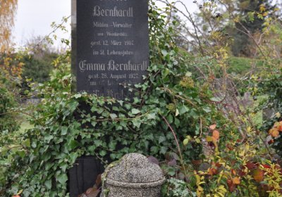 Novosedlice, Omnium, 2020