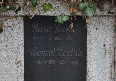 Novosedlice, Omnium, 2020