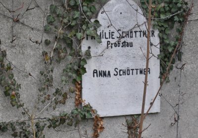 Novosedlice, Omnium, 2020