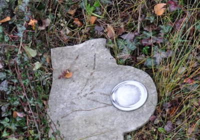 Novosedlice, Omnium, 2020