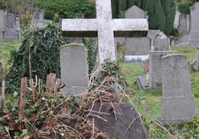 Novosedlice, Omnium, 2020