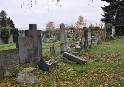 Novosedlice, Omnium, 2020