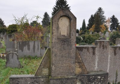 Novosedlice, Omnium, 2020