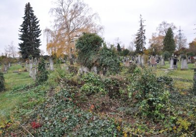 Novosedlice, Omnium, 2020