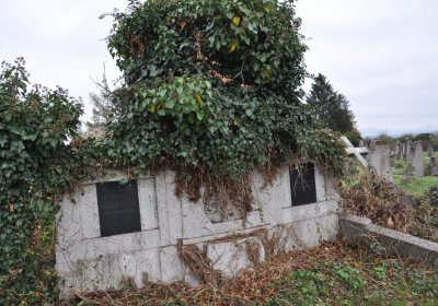 Novosedlice, Omnium, 2020