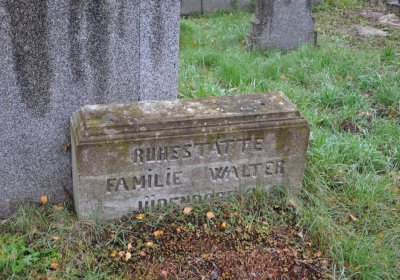 Novosedlice, Omnium, 2020