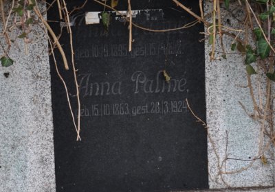 Novosedlice, Omnium, 2020