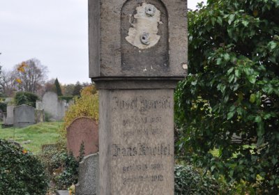 Novosedlice, Omnium, 2020