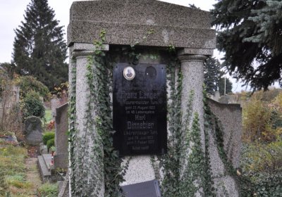 Novosedlice, Omnium, 2020