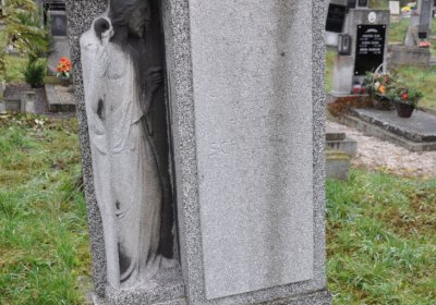 Novosedlice, Omnium, 2020