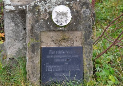 Novosedlice, Omnium, 2020