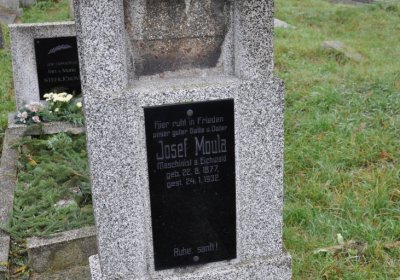 Novosedlice, Omnium, 2020