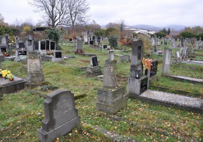 Novosedlice, Omnium, 2020