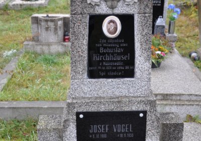 Novosedlice, Omnium, 2020