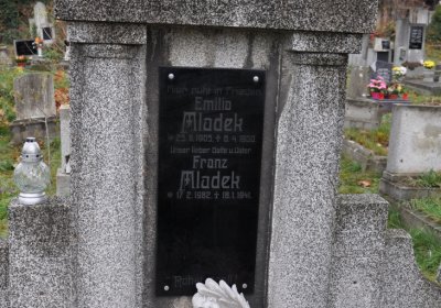 Novosedlice, Omnium, 2020