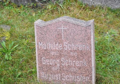 Novosedlice, Omnium, 2020