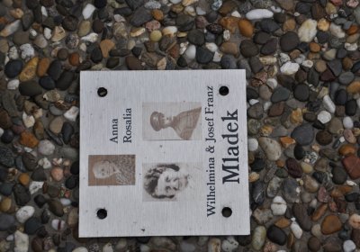 Novosedlice, Omnium, 2020