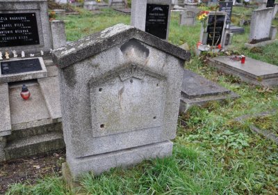 Novosedlice, Omnium, 2020