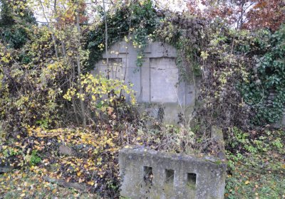 Novosedlice, Omnium, 2020