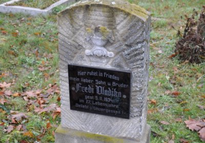 Novosedlice, Omnium, 2020