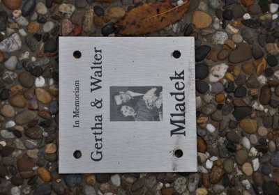 Novosedlice, Omnium, 2020