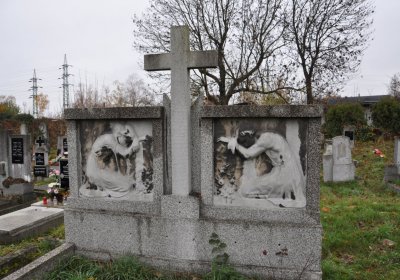 Novosedlice, Omnium, 2020