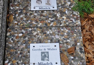 Novosedlice, Omnium, 2020