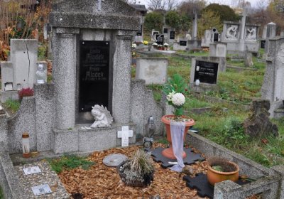 Novosedlice, Omnium, 2020