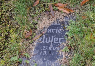 Novosedlice, Omnium, 2020