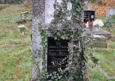 Novosedlice, Omnium, 2020