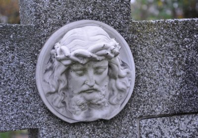 Novosedlice, Omnium, 2020