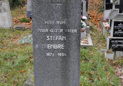 Novosedlice, Omnium, 2020