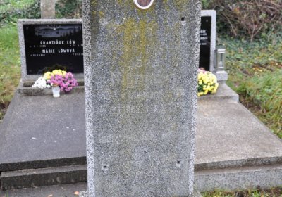 Novosedlice, Omnium, 2020