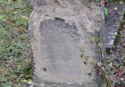 Novosedlice, Omnium, 2020