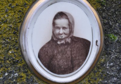 Novosedlice, Omnium, 2020