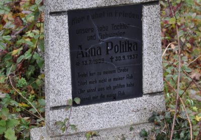 Novosedlice, Omnium, 2020